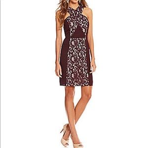 Gianni Bini Mina Lace Inset Dress Size 10